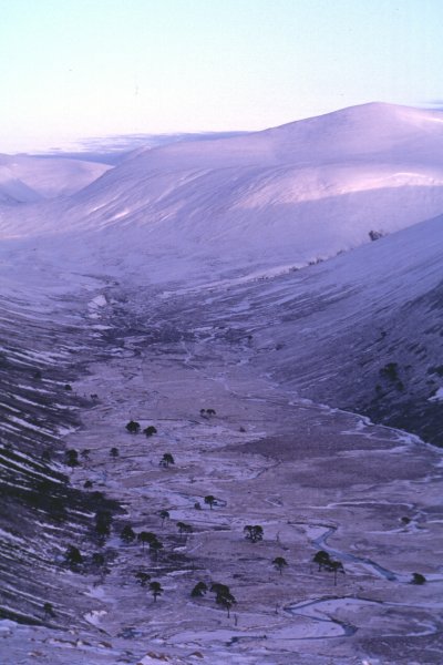 Image N-22 Glen Derry in midwinter